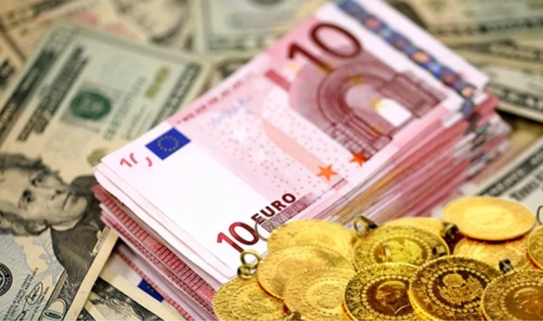 Yükselişlerini sürdüren dolar, euro