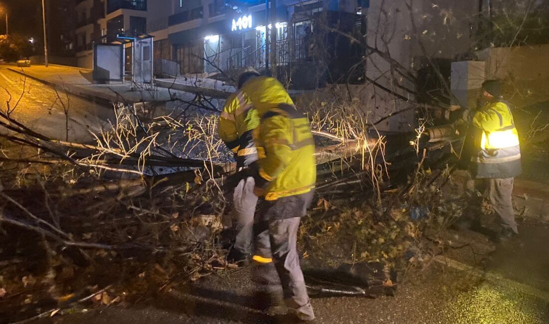 Yıldırım Belediyesi, hayatı olumsuz